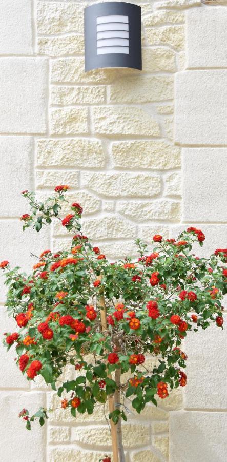 Bed and Breakfast L'Atelier Saint-Maximin  Exterior foto