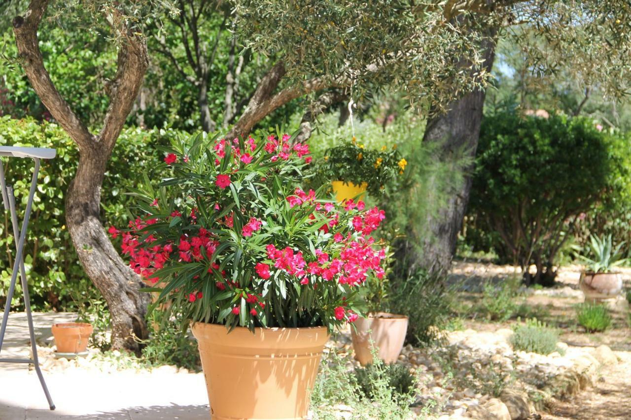Bed and Breakfast L'Atelier Saint-Maximin  Exterior foto
