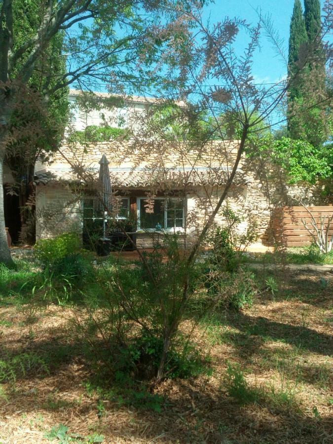 Bed and Breakfast L'Atelier Saint-Maximin  Exterior foto
