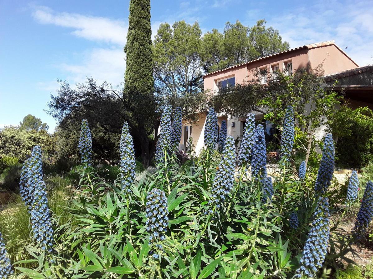 Bed and Breakfast L'Atelier Saint-Maximin  Exterior foto